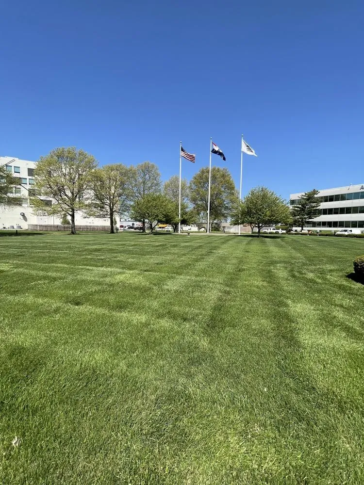 Custom yard cleanup service in Springfield, MO - HomeTown Lawns