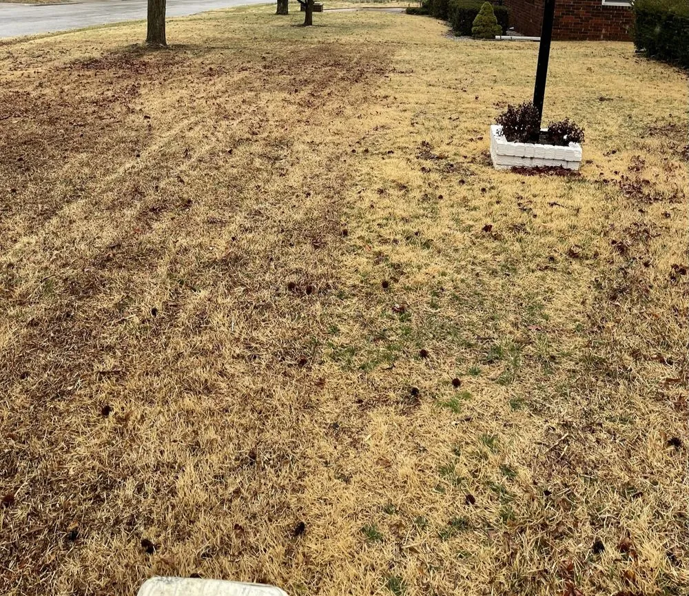 Local residential landscaping with custom design in Springfield, MO by HomeTown Lawns