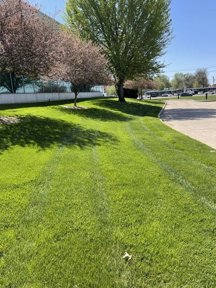 Custom yard maintenance experts serving Springfield, MO - HomeTown Lawns