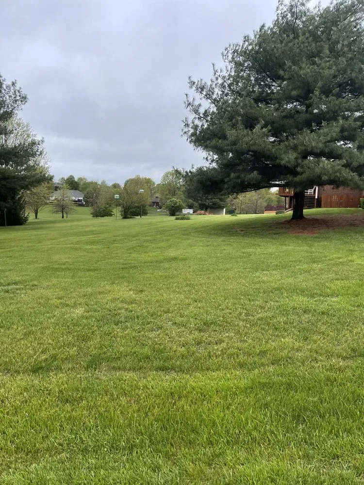 Professional landscape design in Springfield, MO by HomeTown Lawns