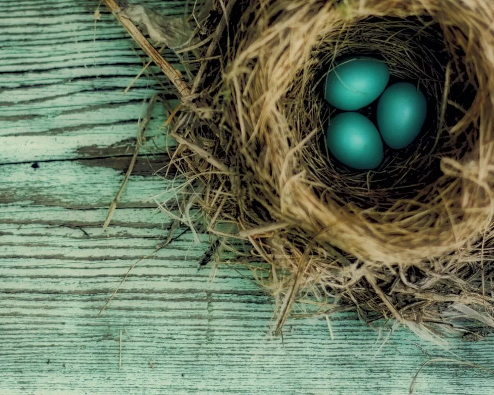 Professional yard cleanup service experts serving Swartz Creek, MI - Hometown Outdoor Services