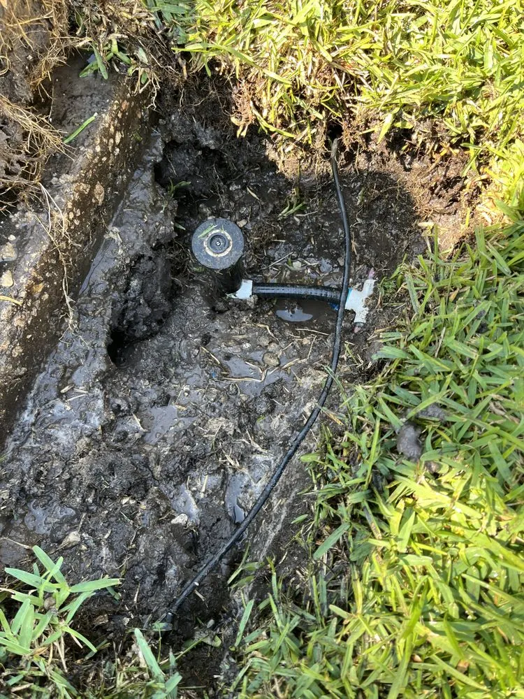 Local landscape installation in Orlando, FL - Hometown Professional Services