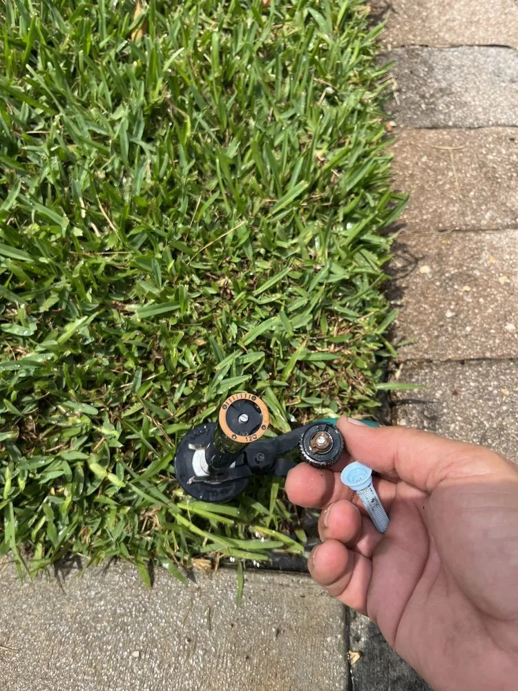 Expert lawn mowing service for homes across Orlando, FL - Hometown Professional Services