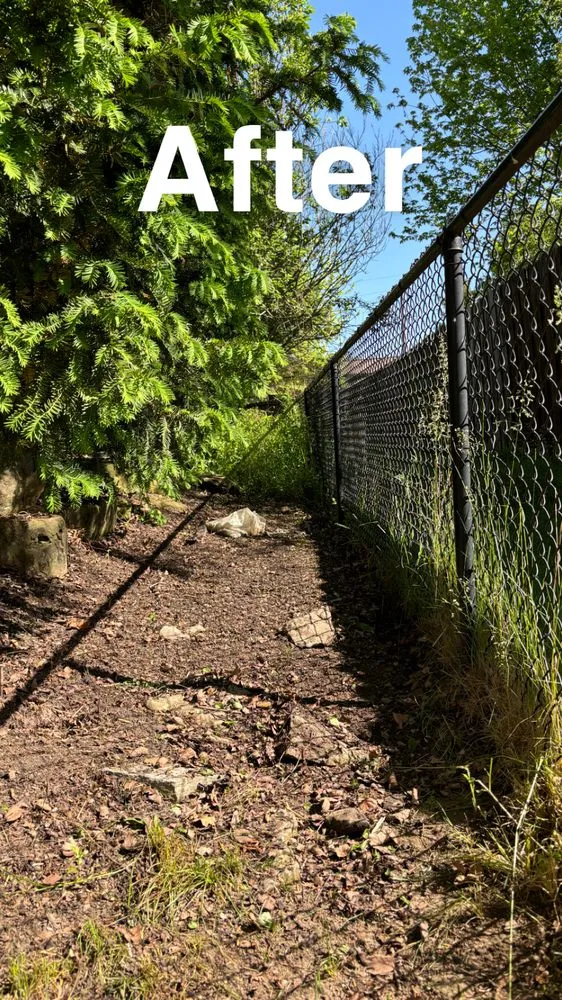 Trusted lawn care service in Indianapolis, IN by Hometown Projects