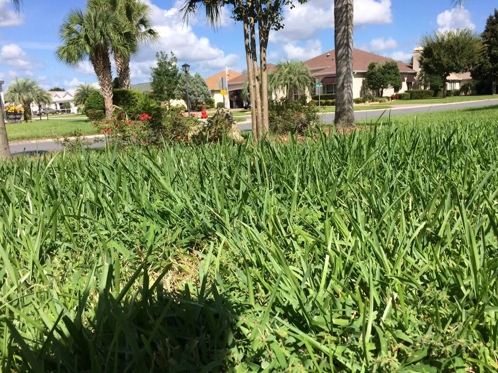 Local lawn care service in Belleview, FL by HomeTown Quality Services