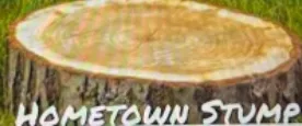 Trusted lawn care service experts serving Rochester, MN - Hometown Stump Eliminator