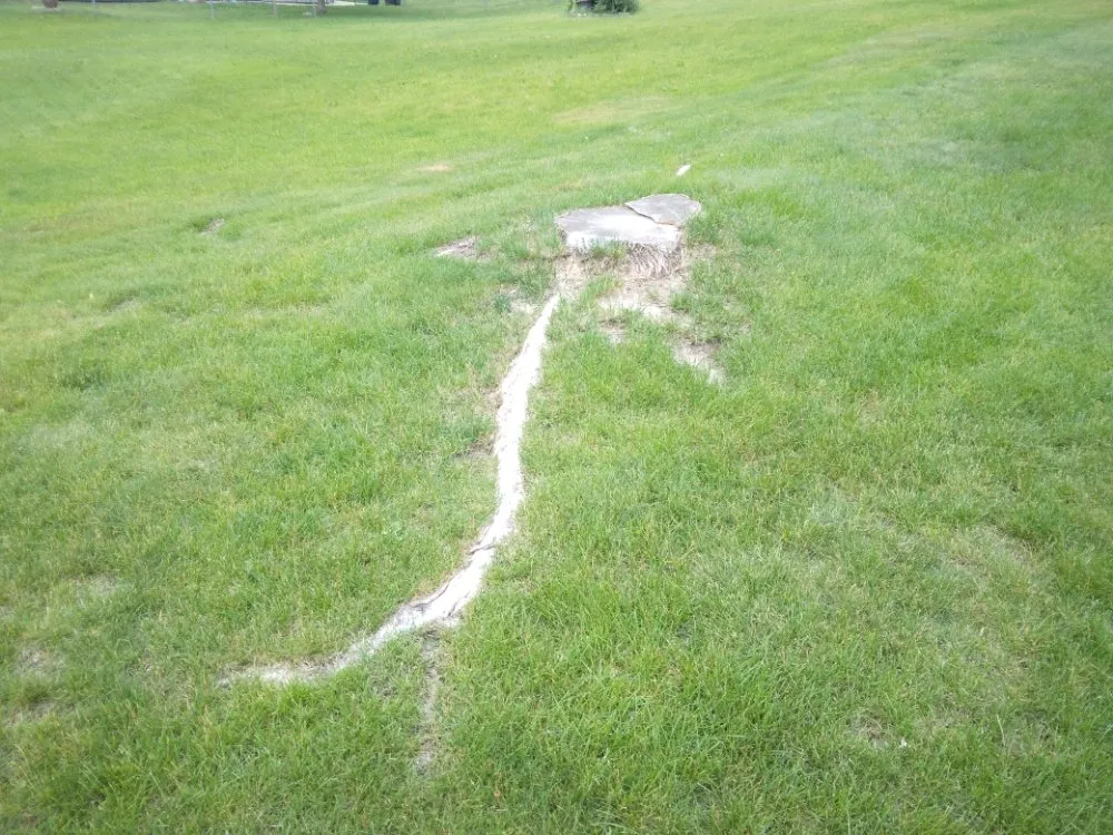 Local landscaping services experts serving Rochester, MN - Hometown Stump Eliminator