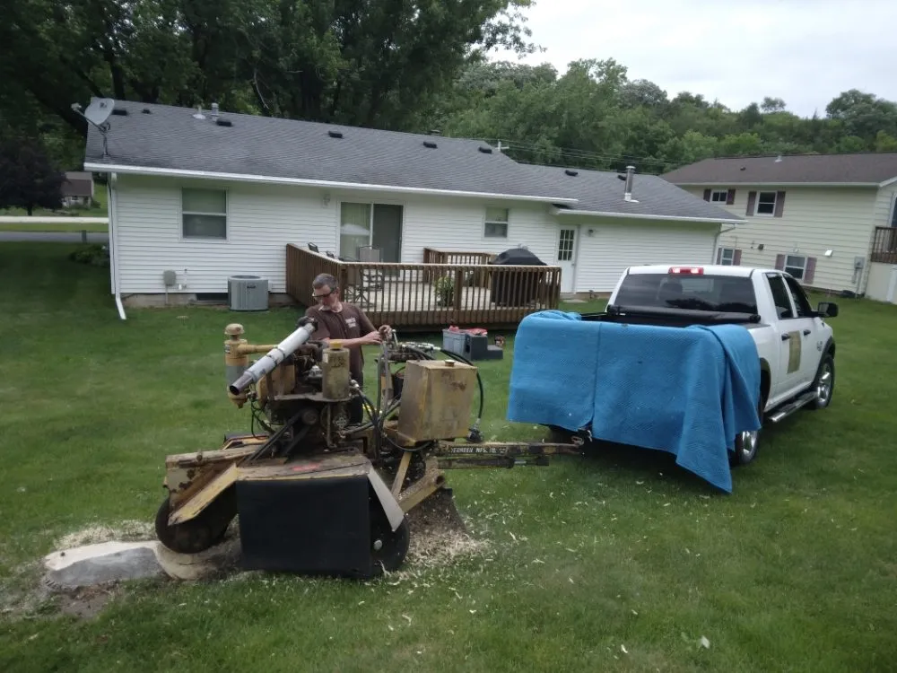 Reliable yard cleanup service for year-round maintenance across Rochester, MN - Hometown Stump Eliminator