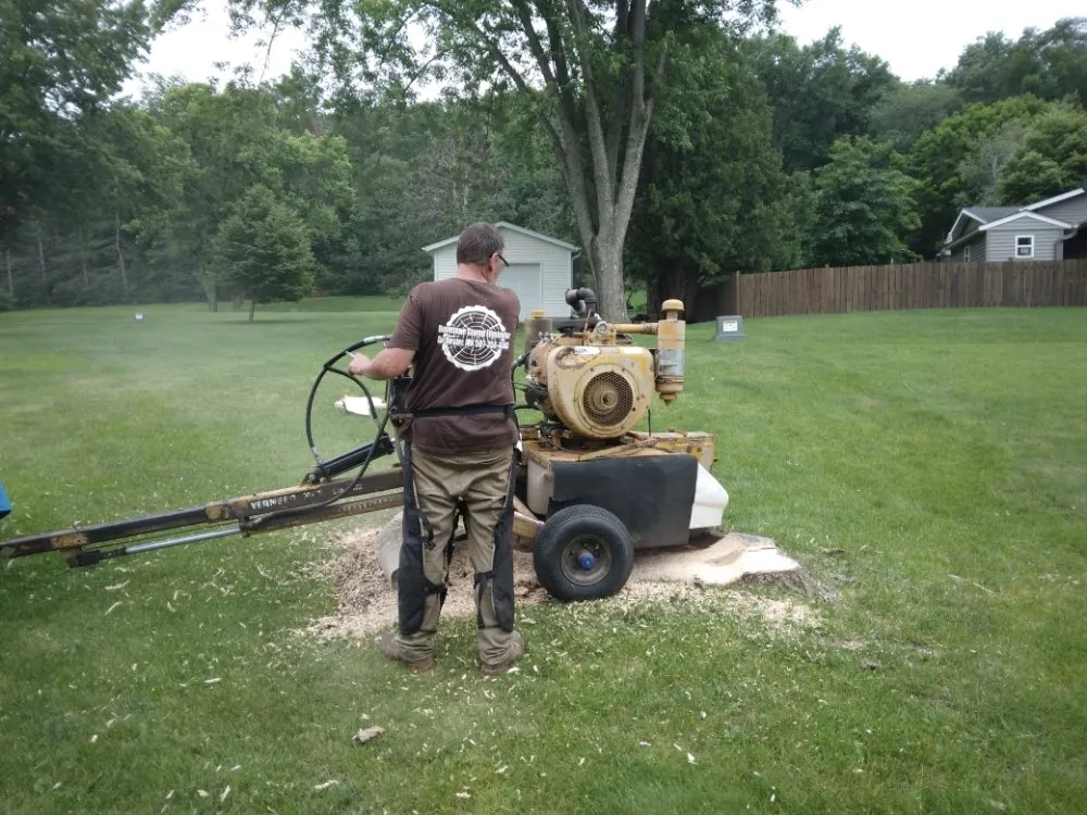 Reliable landscape design experts serving Rochester, MN - Hometown Stump Eliminator