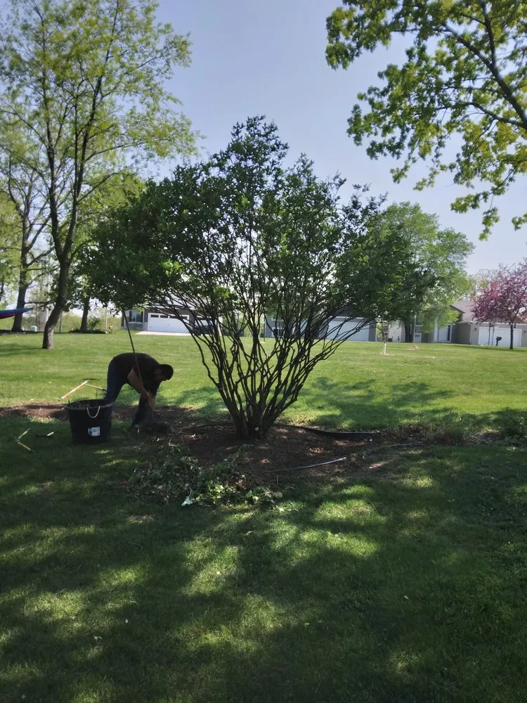 Affordable residential landscaping for homes across Rochester, MN - Hometown Stump Eliminator
