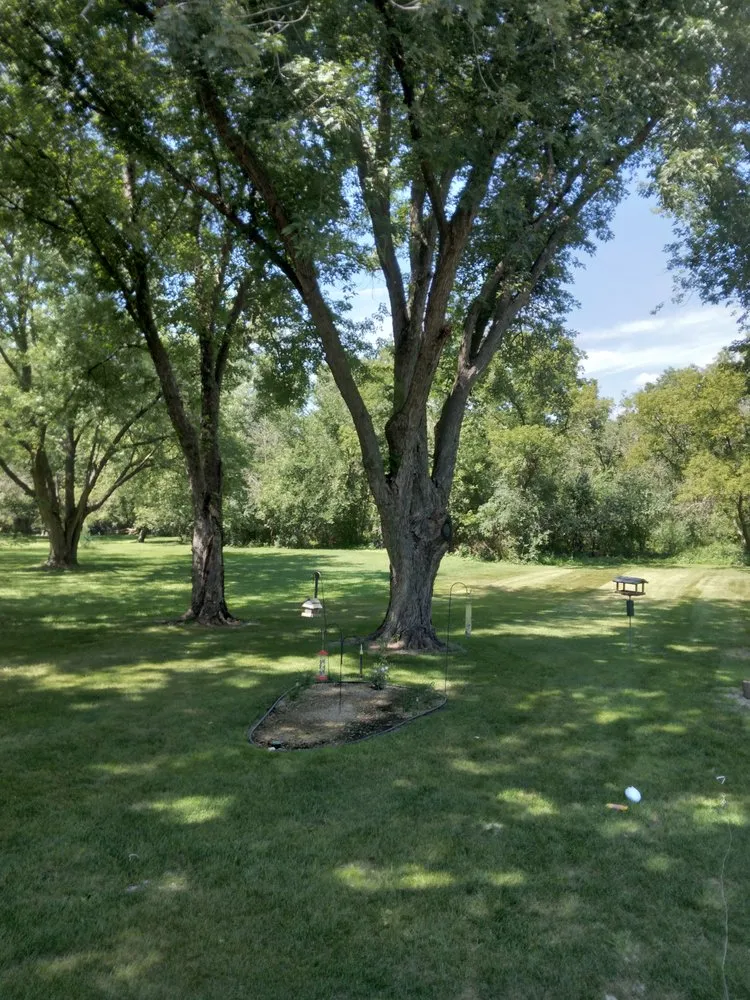 Affordable yard maintenance in Rochester, MN - Hometown Stump Eliminator