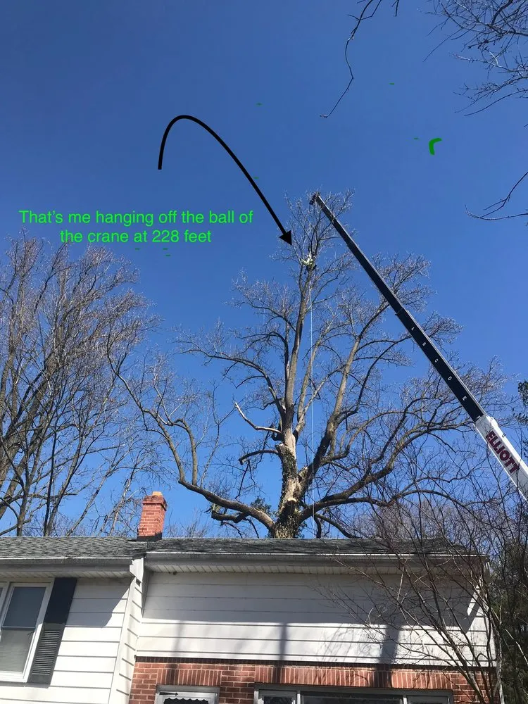 Top-rated yard cleanup service in West Chester, PA by Hometown Tree & Landscaping