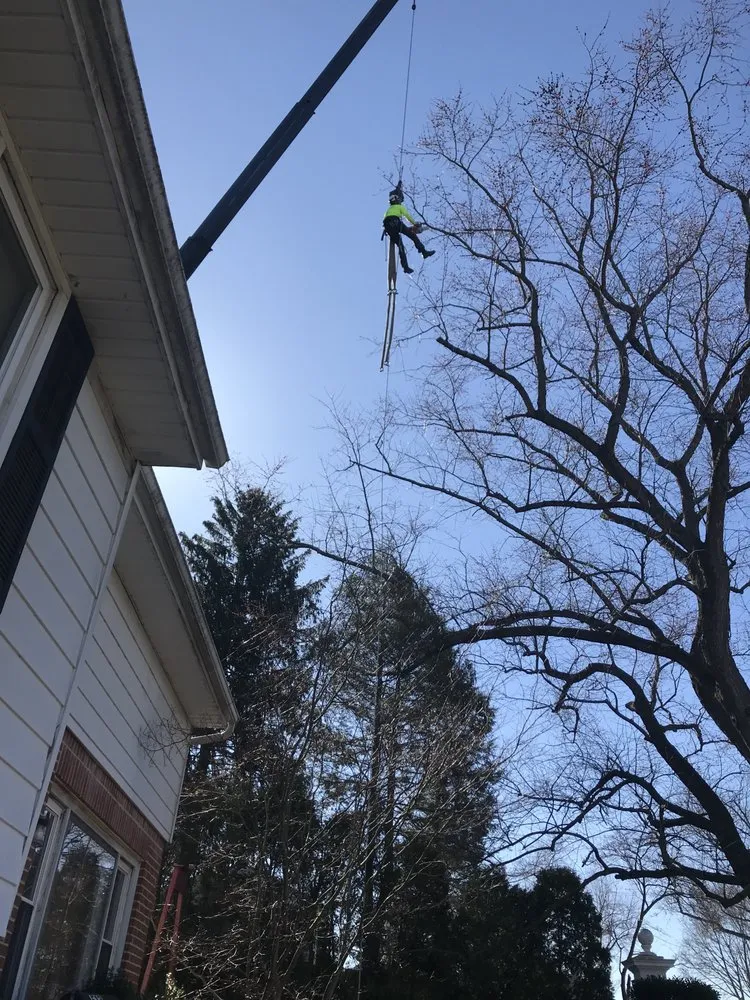 Professional outdoor landscaping in West Chester, PA - Hometown Tree & Landscaping