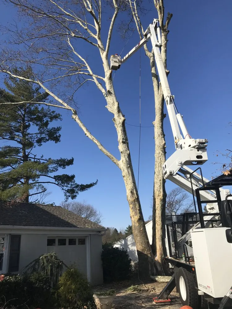 Top-rated residential landscaping in West Chester, PA by Hometown Tree & Landscaping