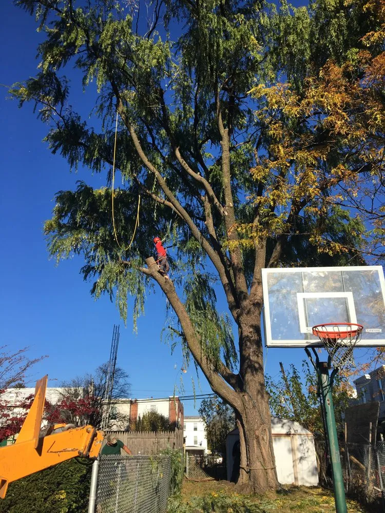 Affordable landscape installation for residential properties across West Chester, PA - Hometown Tree & Landscaping