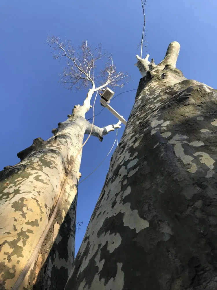 Local outdoor landscaping experts serving West Chester, PA - Hometown Tree & Landscaping