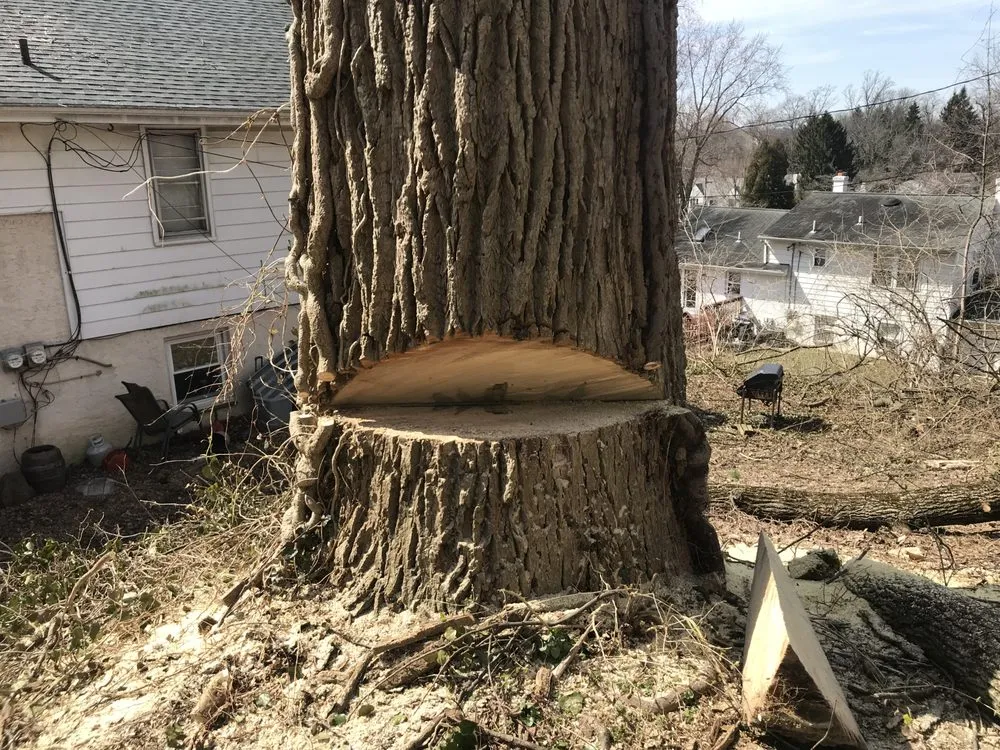 Reliable lawn care service near you across West Chester, PA - Hometown Tree & Landscaping