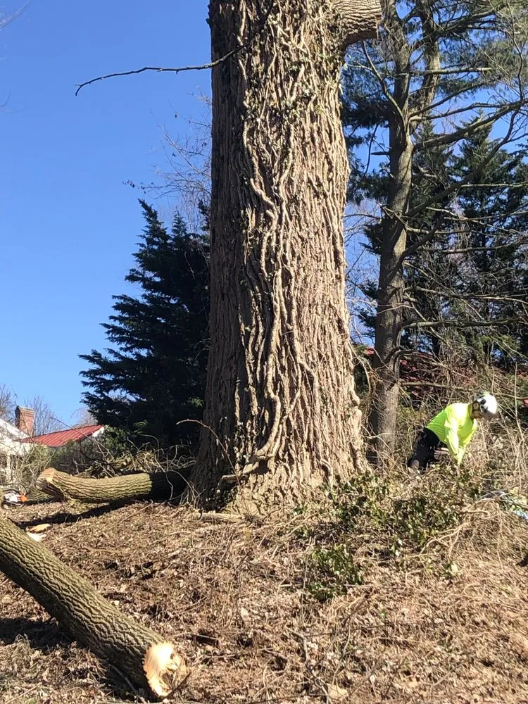 Expert lawn mowing service for beautiful yards in West Chester, PA by Hometown Tree & Landscaping