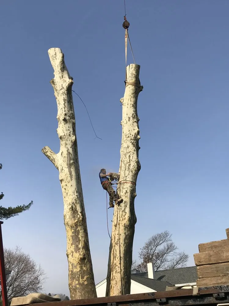 Local lawn mowing service in West Chester, PA - Hometown Tree & Landscaping