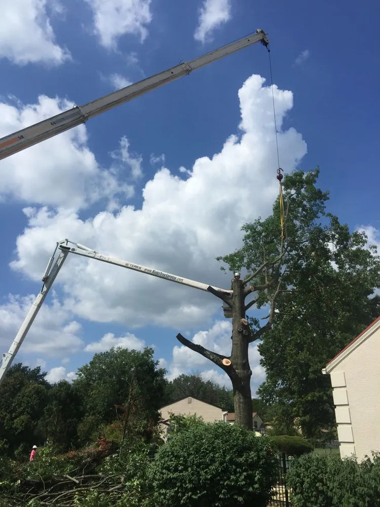 Local landscape installation in West Chester, PA - Hometown Tree & Landscaping