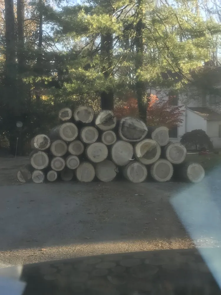 Affordable lawn care service in West Chester, PA - Hometown Tree & Landscaping