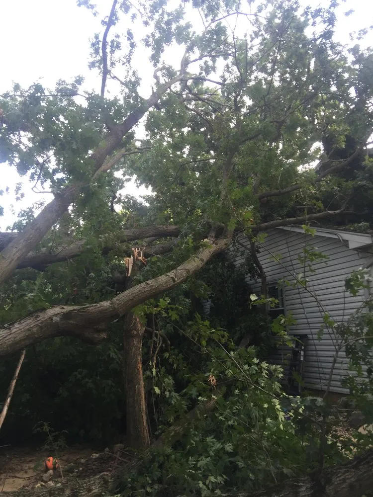 Local landscaping services in West Chester, PA - Hometown Tree & Landscaping