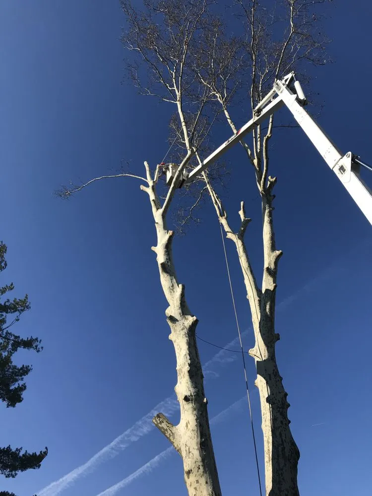 Expert landscaping services experts serving West Chester, PA - Hometown Tree & Landscaping