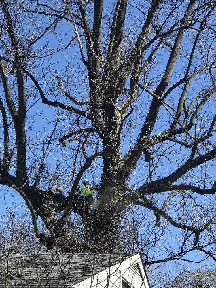 Affordable landscaping services experts serving West Chester, PA - Hometown Tree & Landscaping