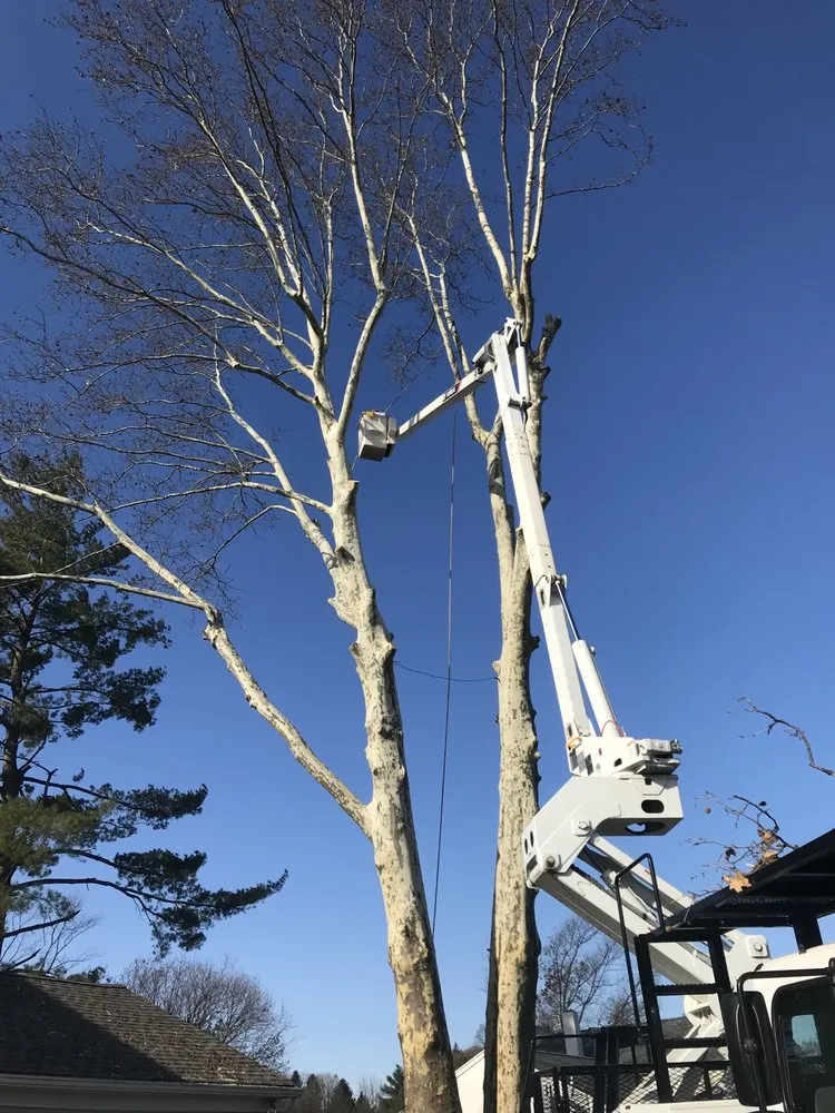 Local landscape design with custom design in West Chester, PA by Hometown Tree & Landscaping