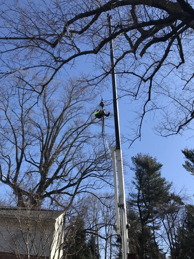 Expert yard maintenance for year-round maintenance in West Chester, PA by Hometown Tree & Landscaping