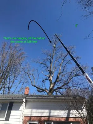 Hometown Tree & Landscaping