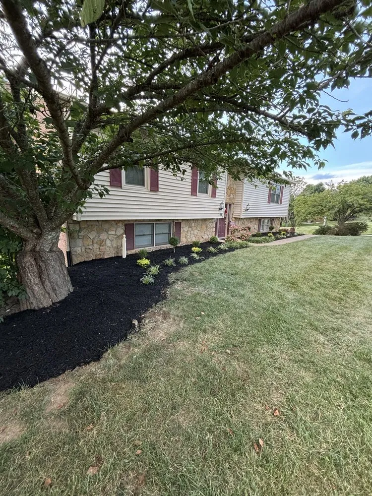 Professional yard cleanup service in Richmond, KY - Hometown Turf