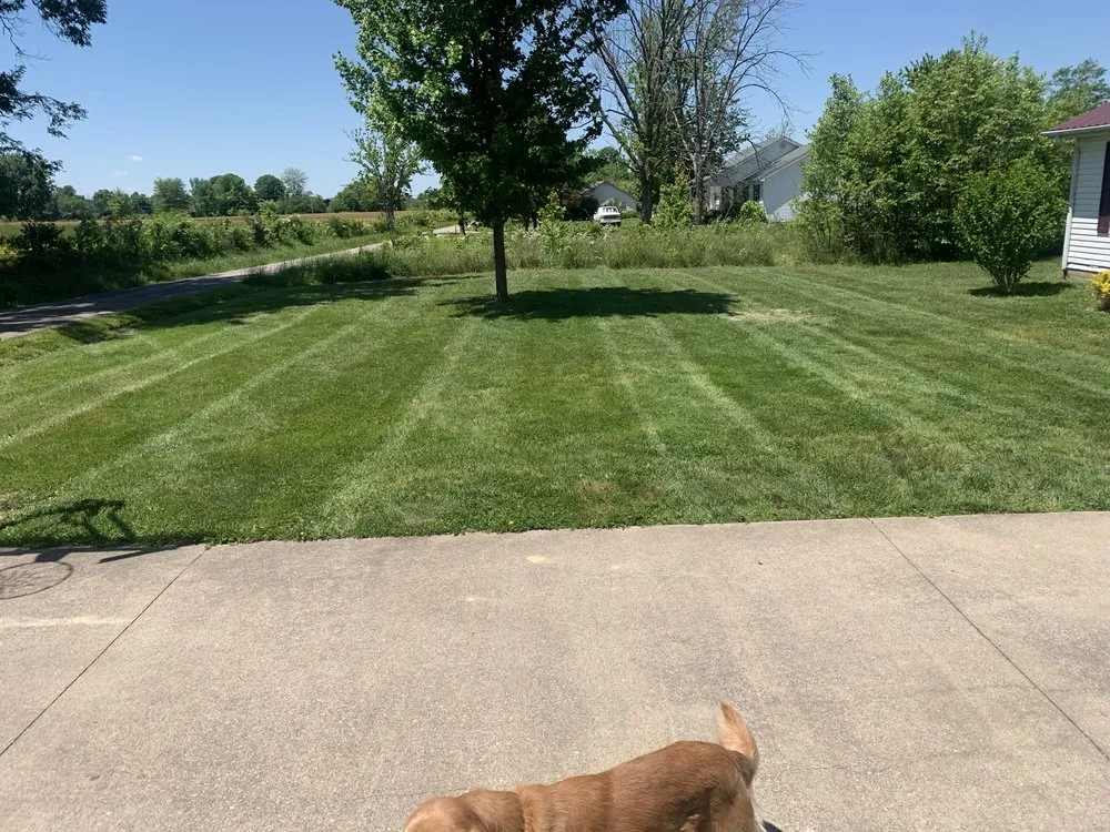 Professional yard maintenance in Richmond, KY - Hometown Turf