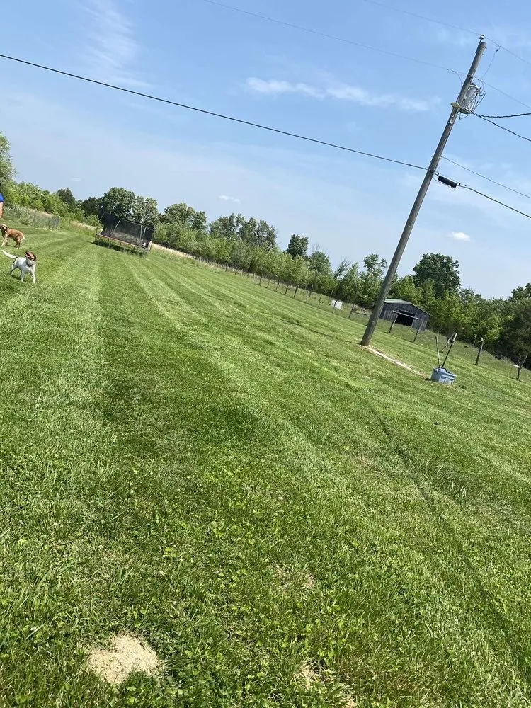 Professional landscape installation in Richmond, KY - Hometown Turf