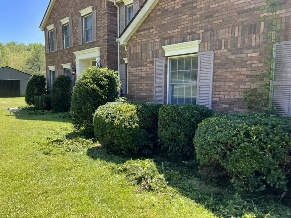 Affordable residential landscaping experts serving Richmond, KY - Hometown Turf