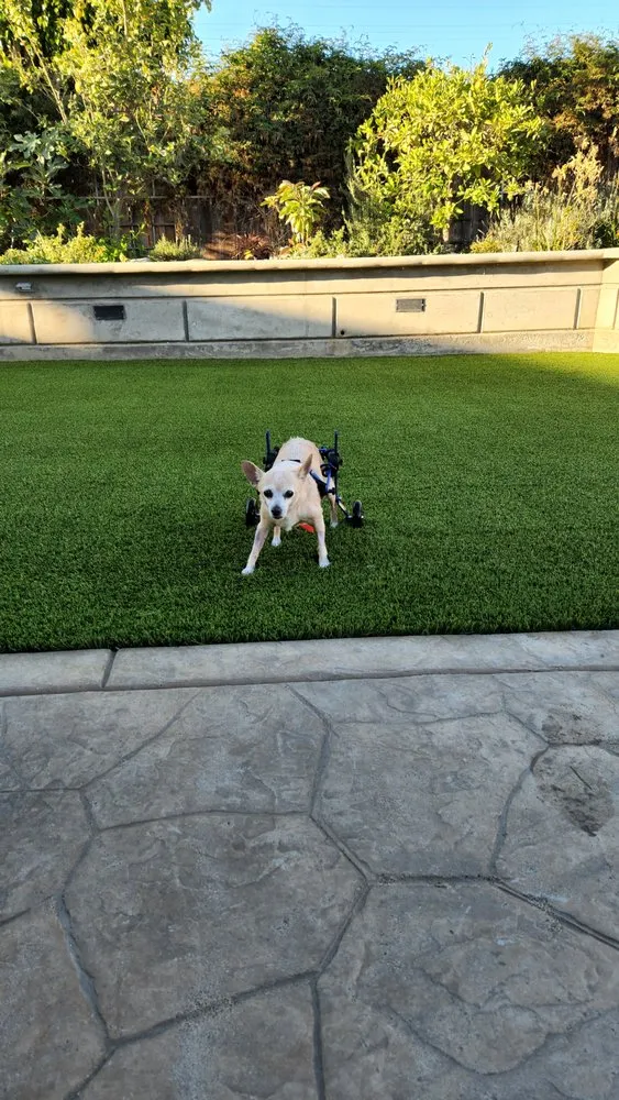 Custom residential landscaping for year-round maintenance across El Cajon, CA - HomeTurf