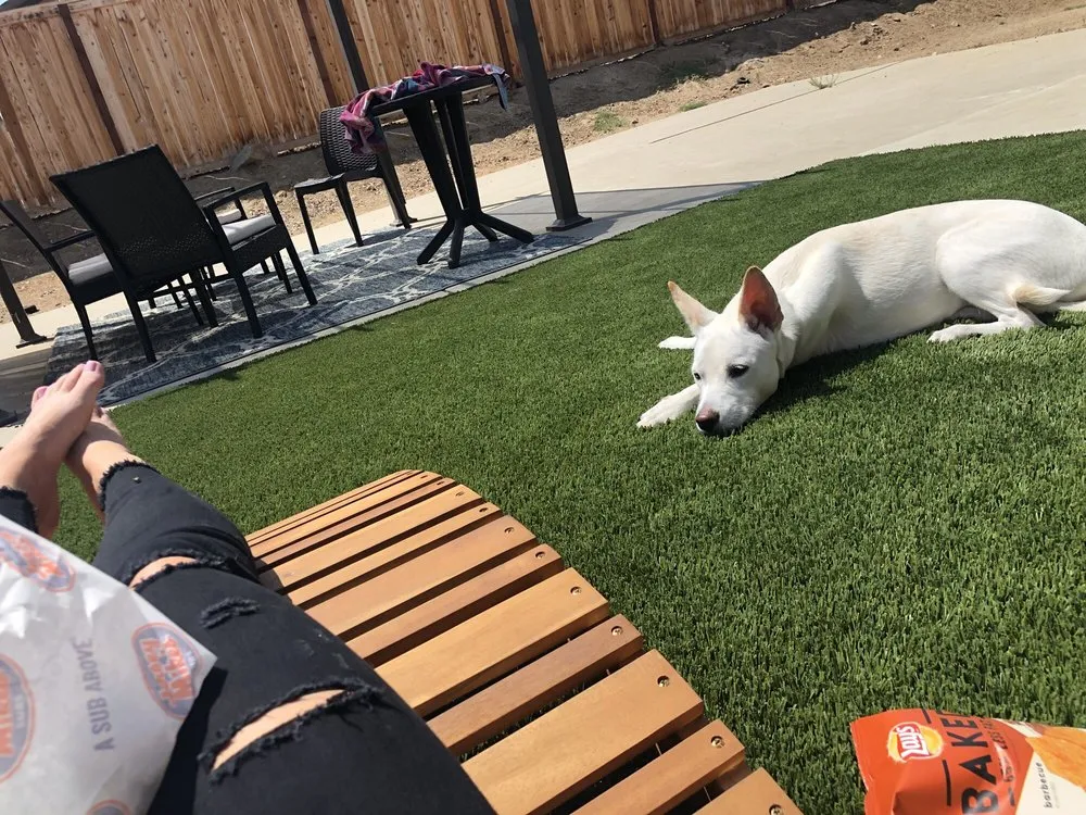 Professional garden landscaping for residential properties in El Cajon, CA by HomeTurf