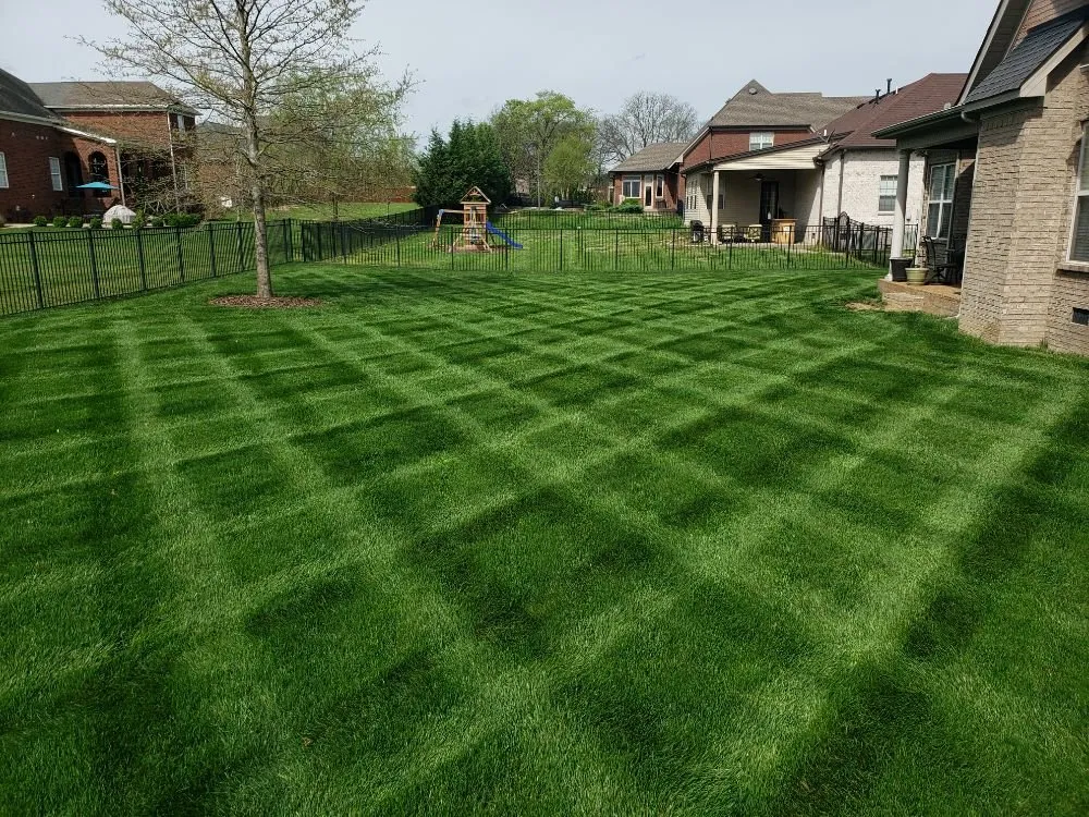 Reliable landscape design in Hendersonville, TN by HomeTurf