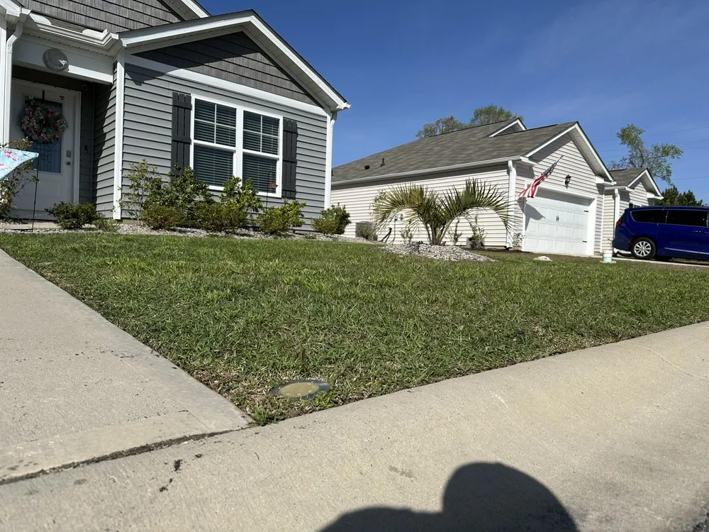 Affordable lawn care service in Conway, SC - Homewood Services