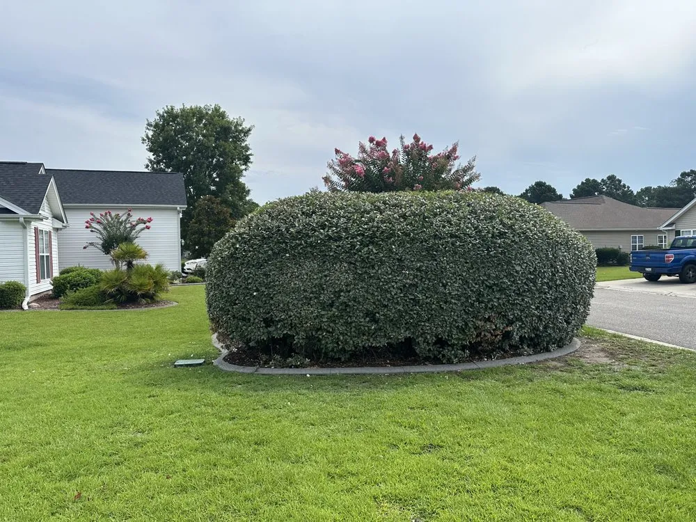 Affordable lawn mowing service in Conway, SC - Homewood Services