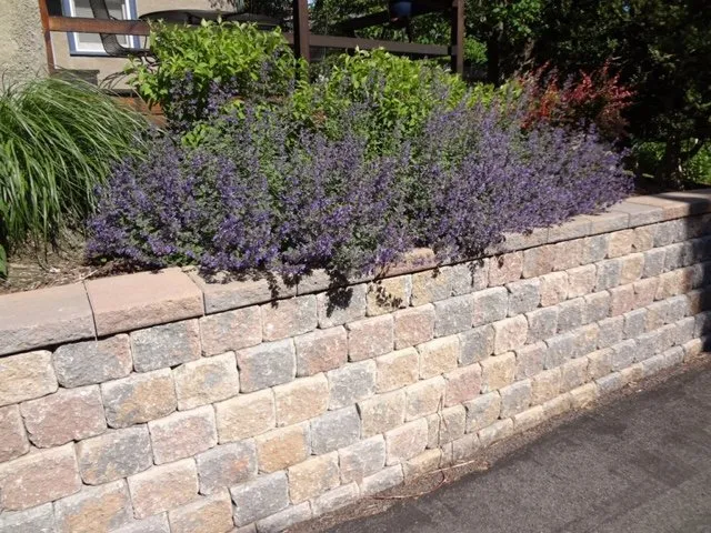 Professional lawn mowing service experts serving Dadeville, AL - Homeworx