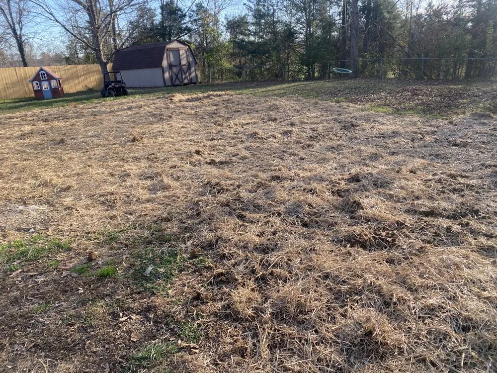 Expert yard cleanup service for residential properties in Mount Washington, KY by Homeworx