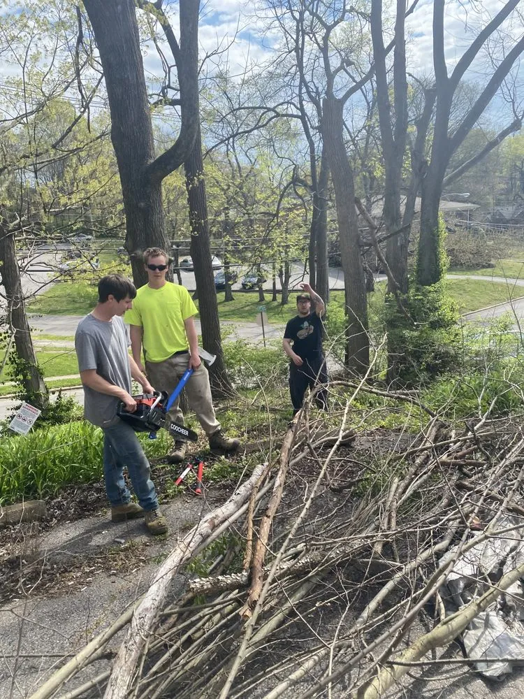 Custom landscape installation in Mount Washington, KY by Homeworx