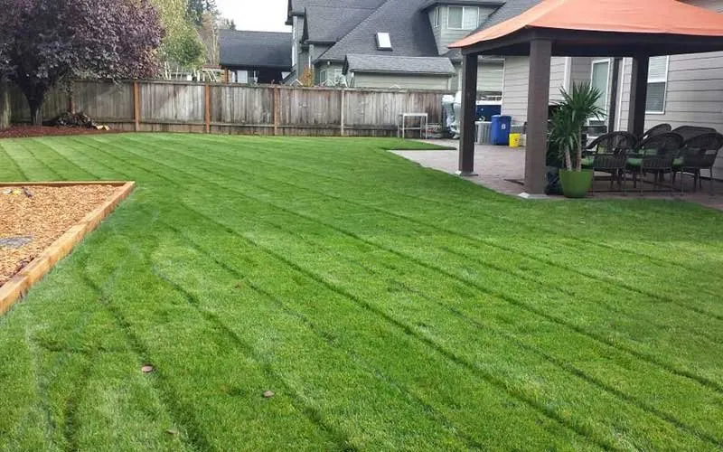 Custom yard maintenance for homes in Washougal, WA by Homie's Landscape