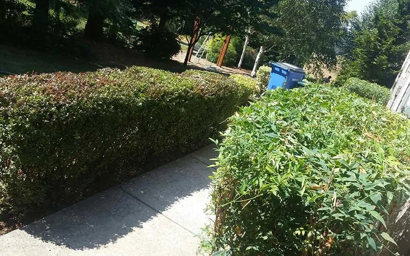 Reliable residential landscaping in Washougal, WA by Homie's Landscape