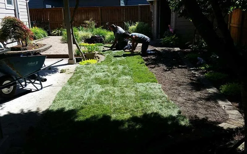 Trusted residential landscaping in Washougal, WA - Homie's Landscape