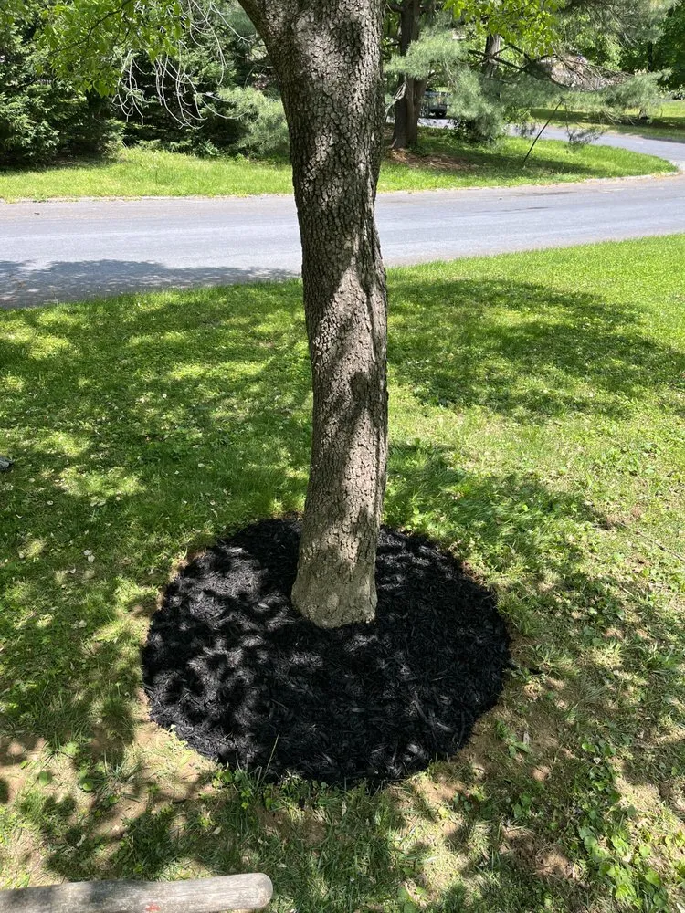 Custom landscape installation for homes in Bel Air, MD by Hommel’s Lawn Care