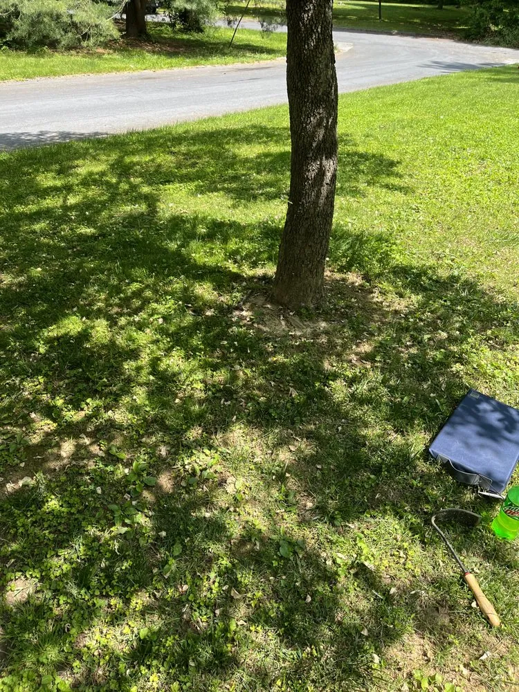 Local lawn care service in Bel Air, MD by Hommel’s Lawn Care