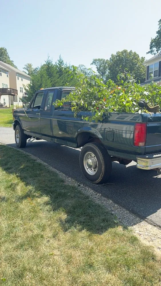 Local residential landscaping in Bel Air, MD - Hommel’s Lawn Care