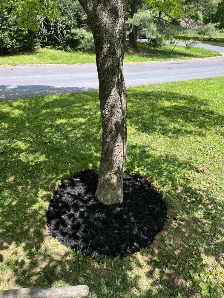 Custom landscape installation experts serving Bel Air, MD - Hommel’s Lawn Care